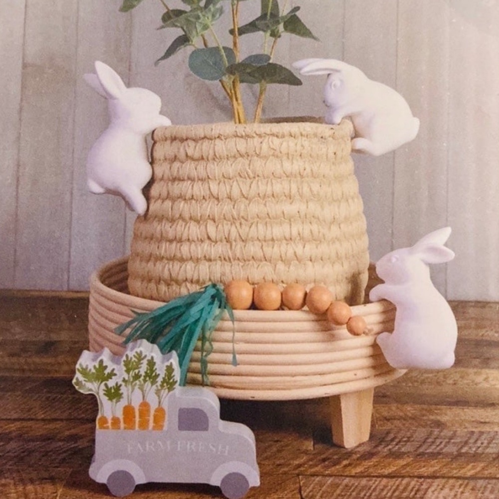 COPY - NEW TARGET HANGING CLIMBING BUNNIES RABBITS PLANTS SHELF